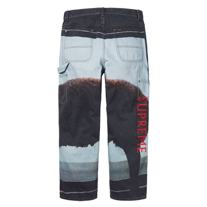 Supreme 25SS Damien Hirst Jeans